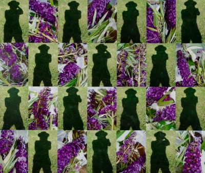 hs_shadows-purple-buddleia