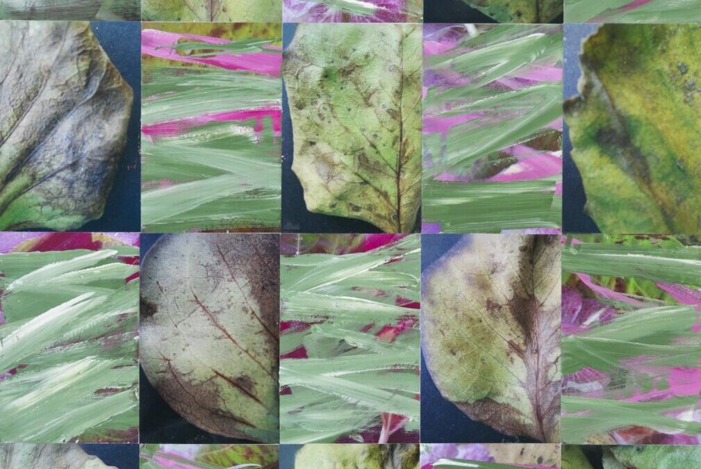 Autumn Leaves with Magenta, Pink and Green