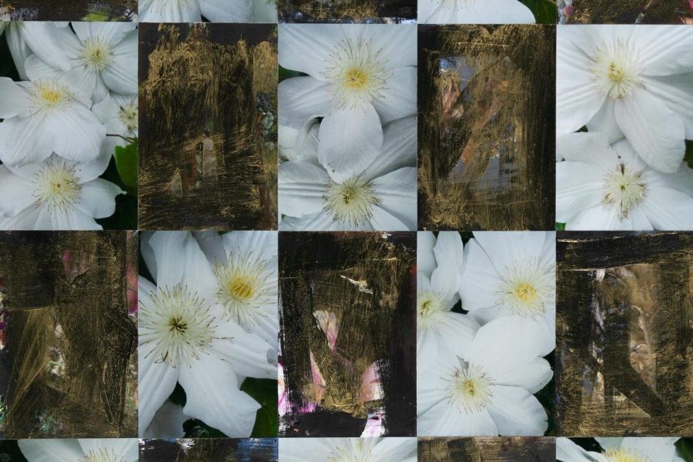 Clematis with Black and Gold