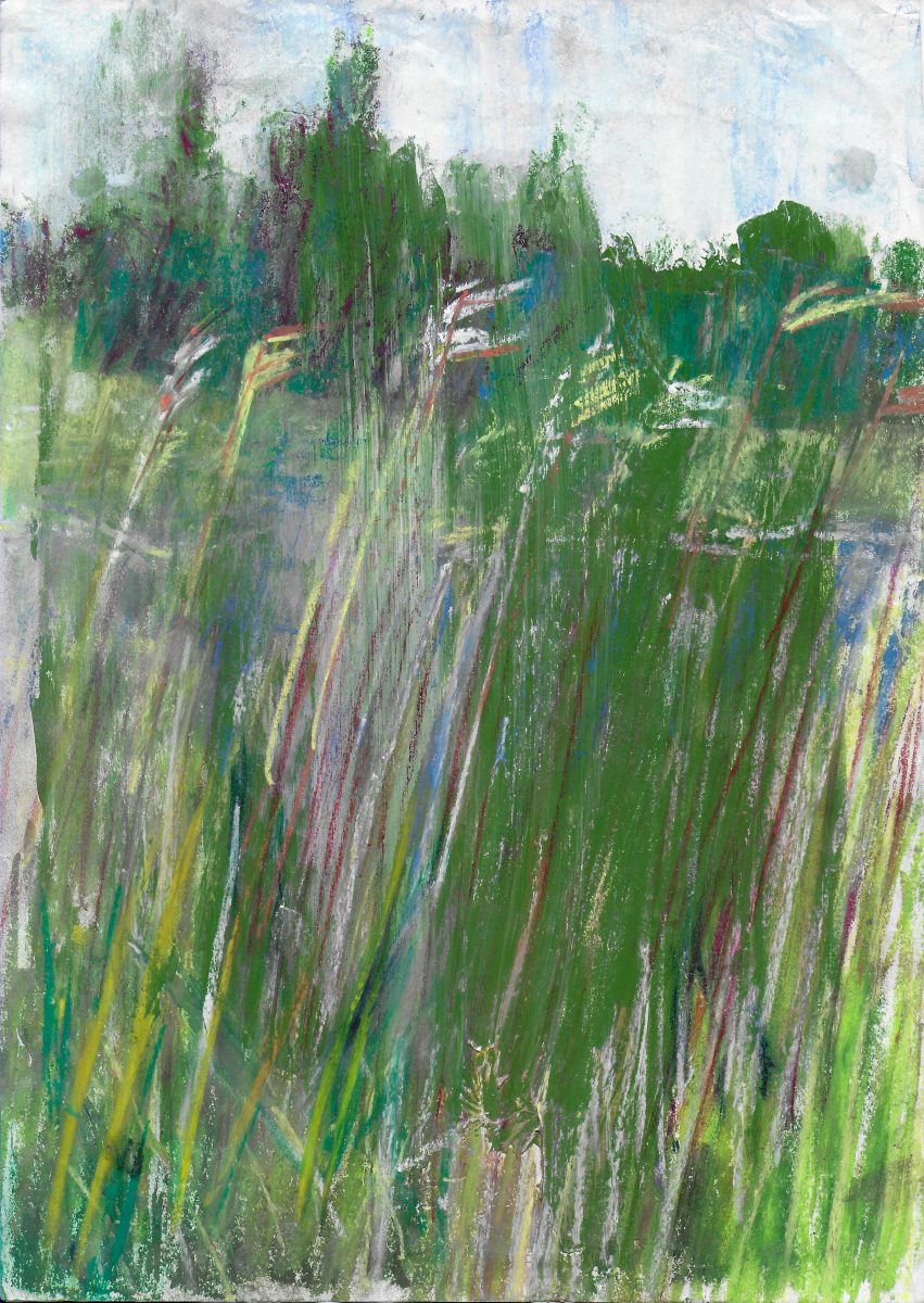 Marshland
