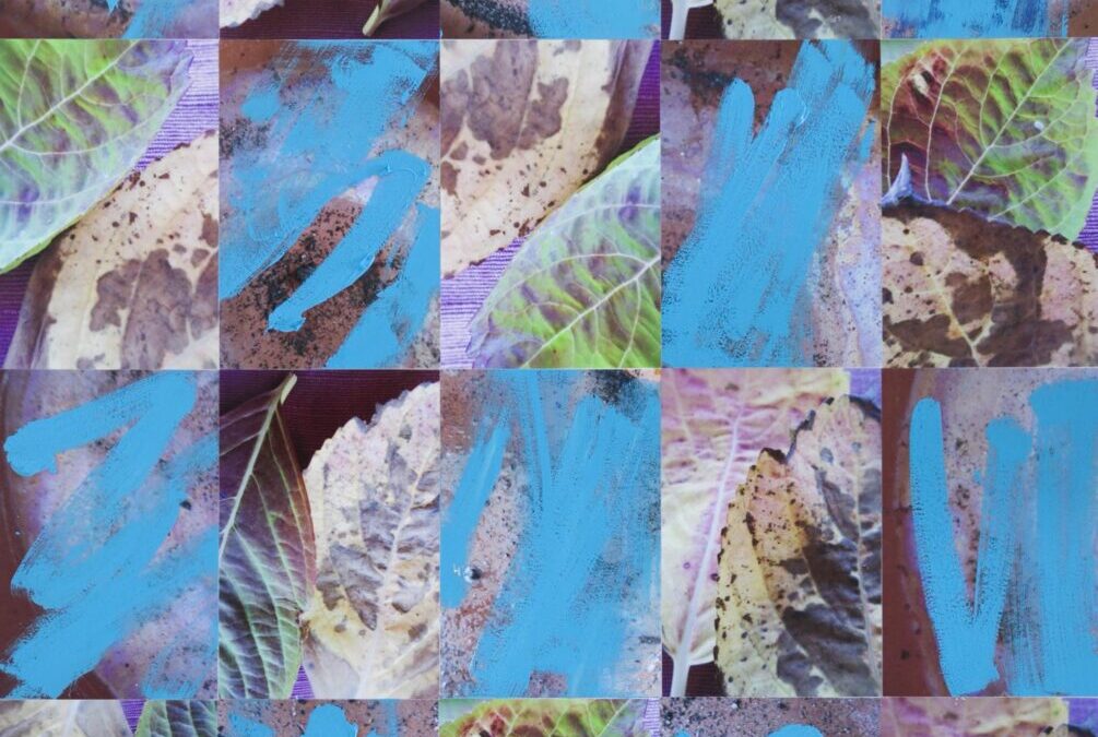 Hydrangea Leaves with Cerulean Blue