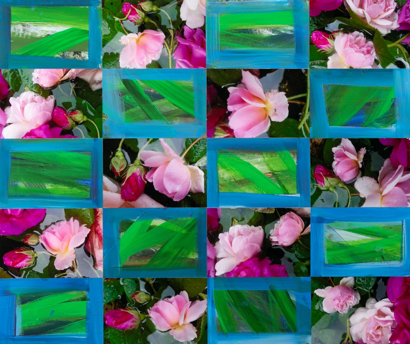 Pink Roses with Green and Blue
