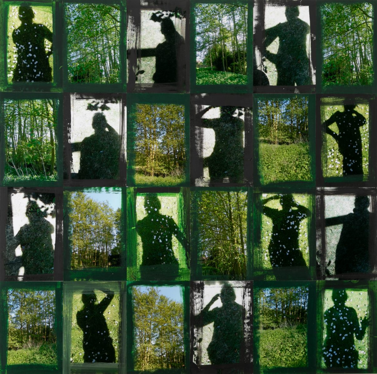 Shadows and Woodland with Green and Black
