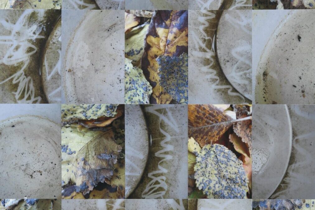 Spotted Leave, Ceramics and Calligraphy