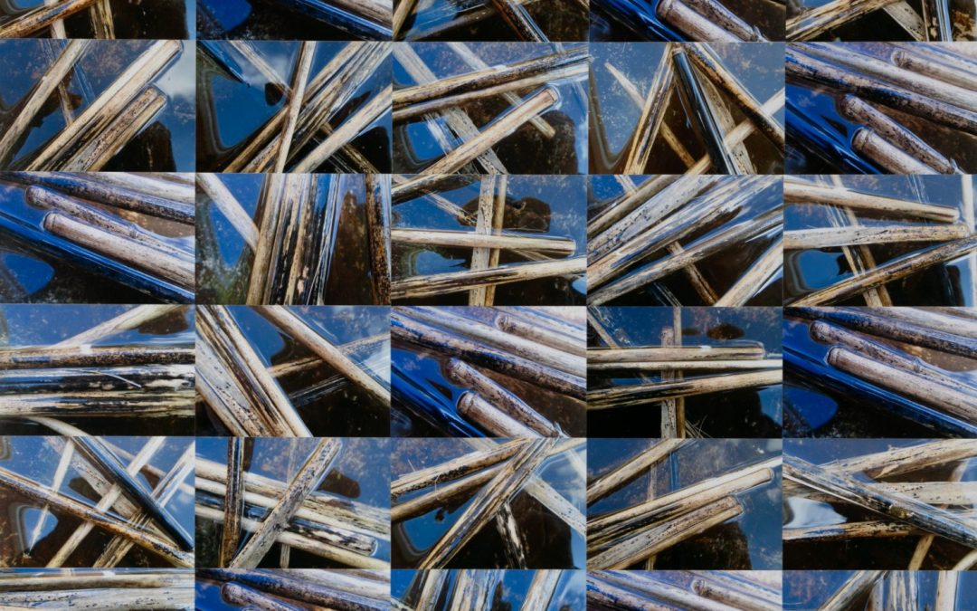Blue Bamboo