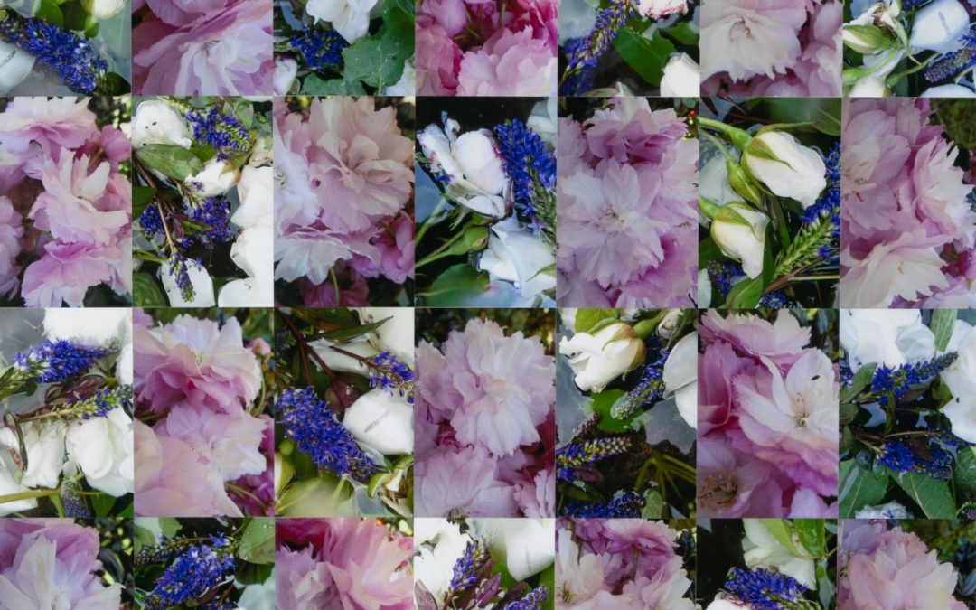 Cherry Blossom and Heavenly Blue